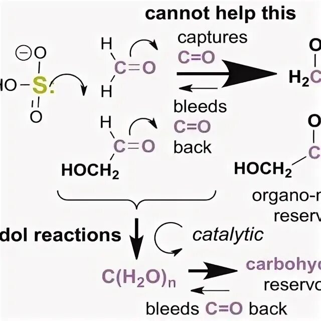 ATP Citrate lyase. Процесс восстановления атомов серы схема. Цитрат Симмонса микробиология. Enzyme-catalysed Reaction. Осуществите превращения k2so3 so2