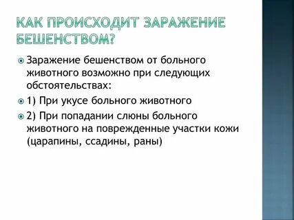 Заражение бешенством