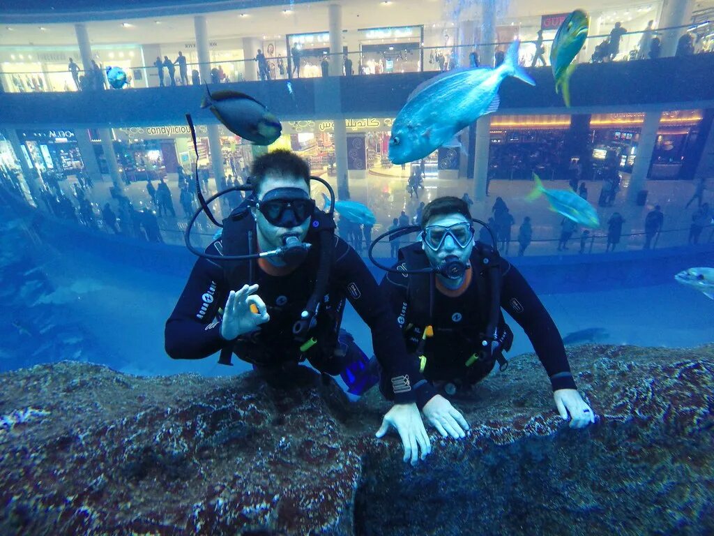 Дип дайв. Бассейн deep dive dubai. подводный бассейн в дубае. дайвинг дубай молл. дубай бассейн для дайвинга самый глубокий.
