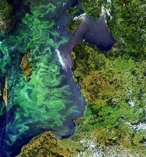 Балтийское море на мировом океане