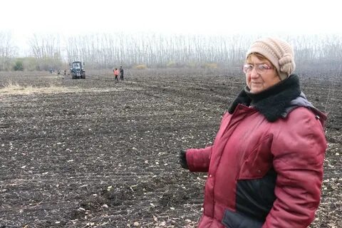 Погода красный богатырь владимирская область судогодский