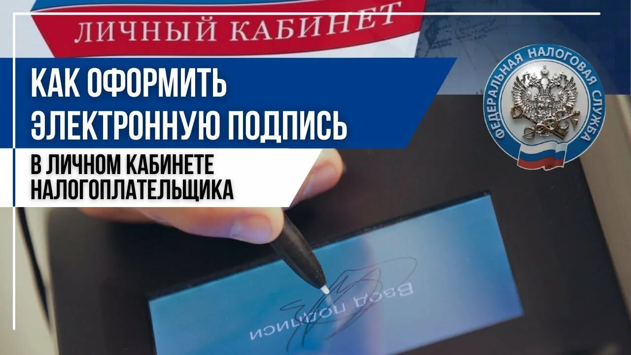 Доверенное лицо фнс эцп