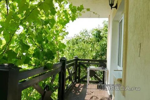 Афродита дивноморское