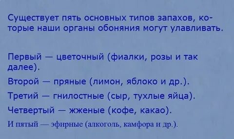 Текст запах