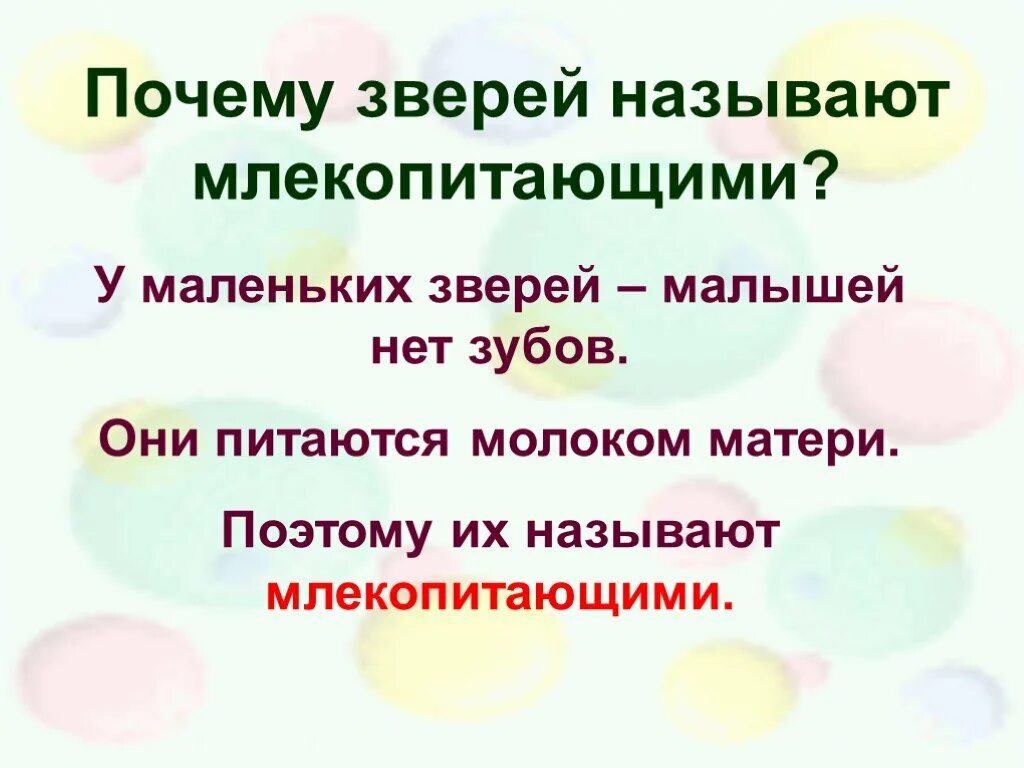 Почему зверей называют зверями. Млекопитающие почему так называются. Почему животные называются млекопитающими. Почему класс млекопитающих так называют. Почему животных называют животными.