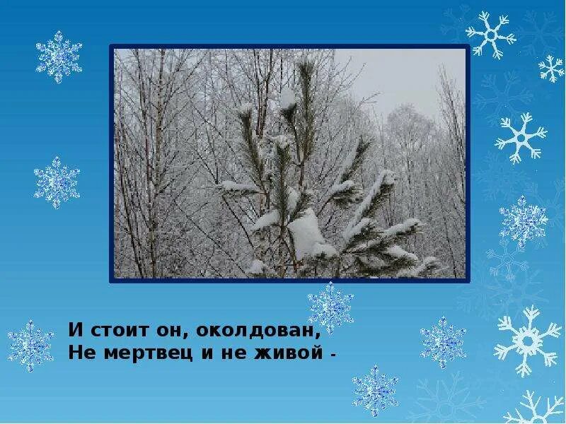 Урок чародейкою зимою тютчев 2 класс. Презентация к стихотворению чародейкою зимой. тютчев чародейкою зимою презентация. литературное чтение 2 класс тютчев чародейкою зимою презентация. тютчев 2 класс чародейкою зимой.