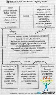 Какие продукты сочетать