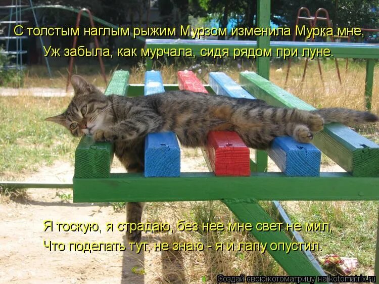 Песня позабыт позаброшен с молодых юных. Толстый кот на скамейке. я позабыт и позаброшен. фото вот так и живём. позабыт позаброшен веселые картинки.