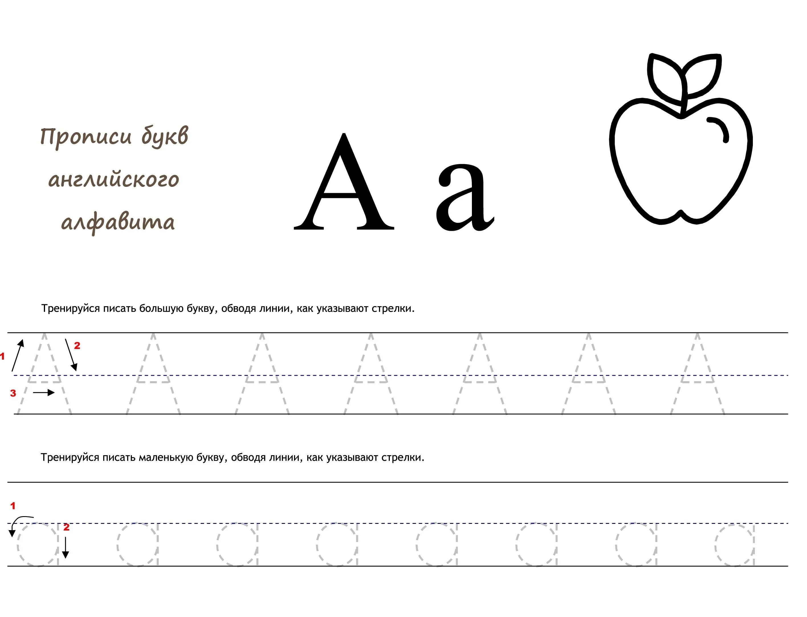 Пропись букв английского алфавита. Прописи английских букв. Прописи английских букв для детей. Прописи английских бука. Прописи букв английского алфавита.