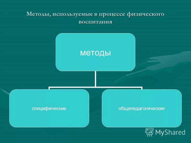 общепедагогические и специфические методы физического воспитания