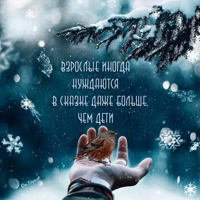 Время волшебства цитаты. Зимние статусы красивые. статусы про зиму. зимняя сказка цитаты. хочется волшебства и чудес.