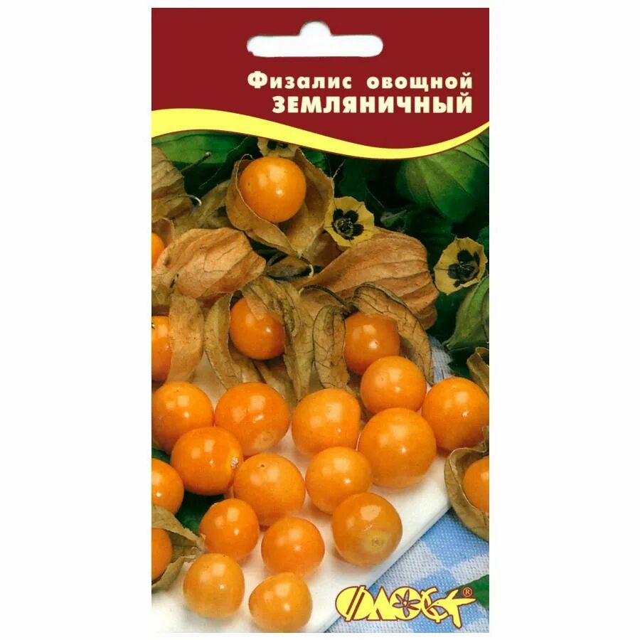 Физалис дальневосточный. Семена физалиса земляничного. Физалис земляничный. Физалис земляничный русский огород. Семена физалиса земляничного.