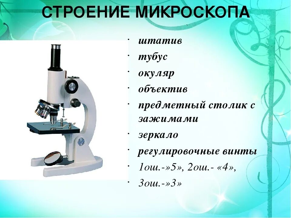 Строение микроскопа и функции его частей. Биология 5 кл строение микроскопа. Строение микроскопа для 5 класса по биологии. Основные части микроскопа 5 класс биология. Строение микроскопа 5 класс биология таблица.