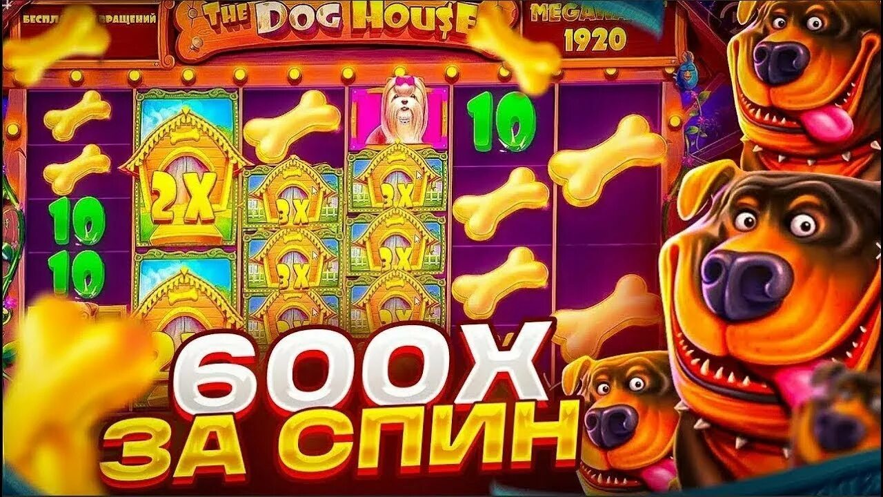 Dog house слот dogs house net. Слот дог Хаус Мегавейс. Дог Хаус занос. Дог Хаус слот занос. Дог Хаус Мегавейс занос.