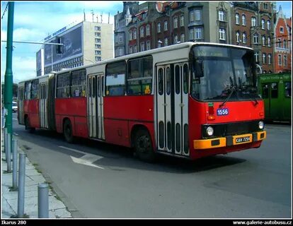 142 автобус спб