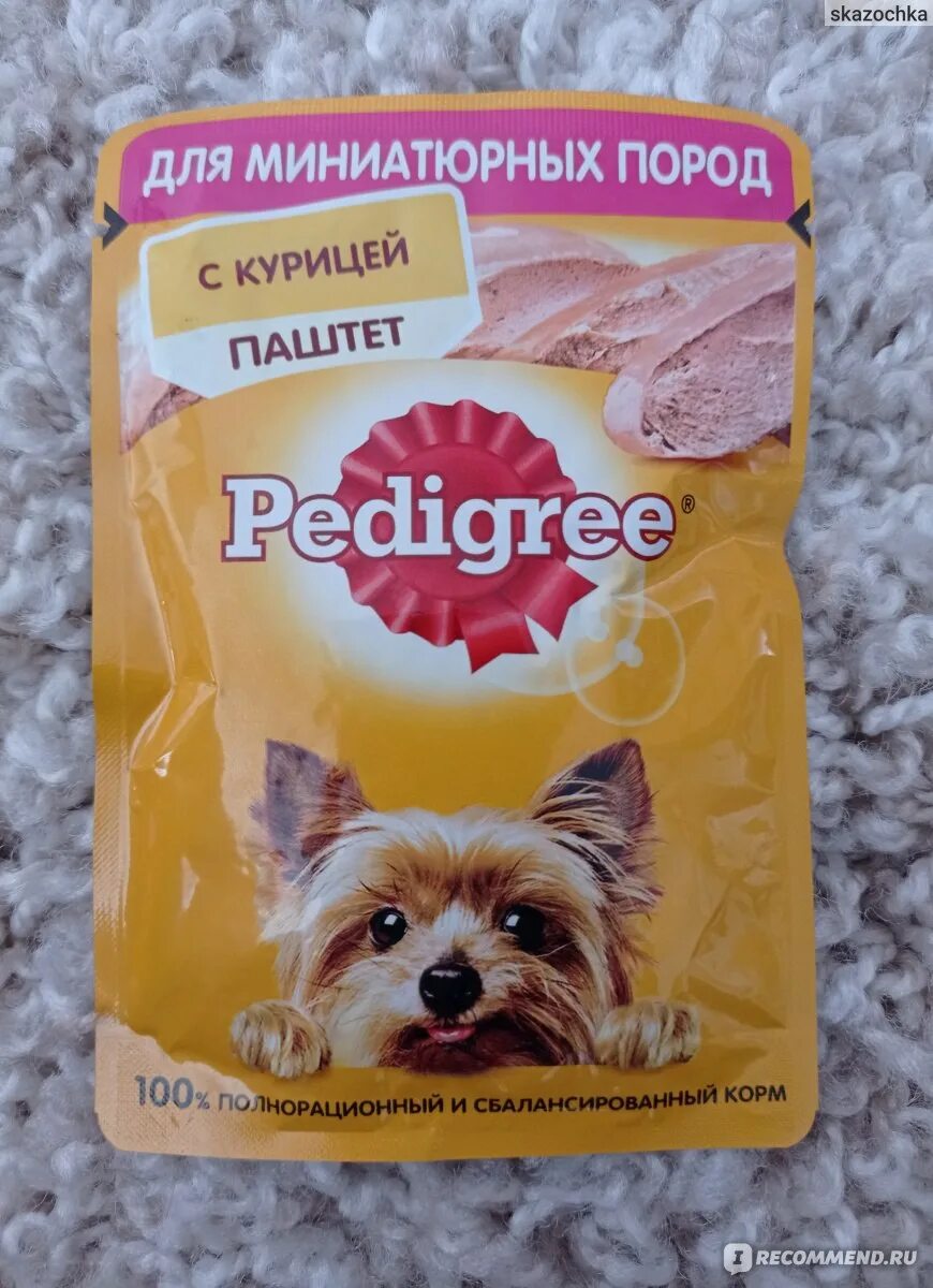 Педигри паштет для собак. Pedigree паштет с курицей для миниатюрных пород. Корм для собак педигри отзывы