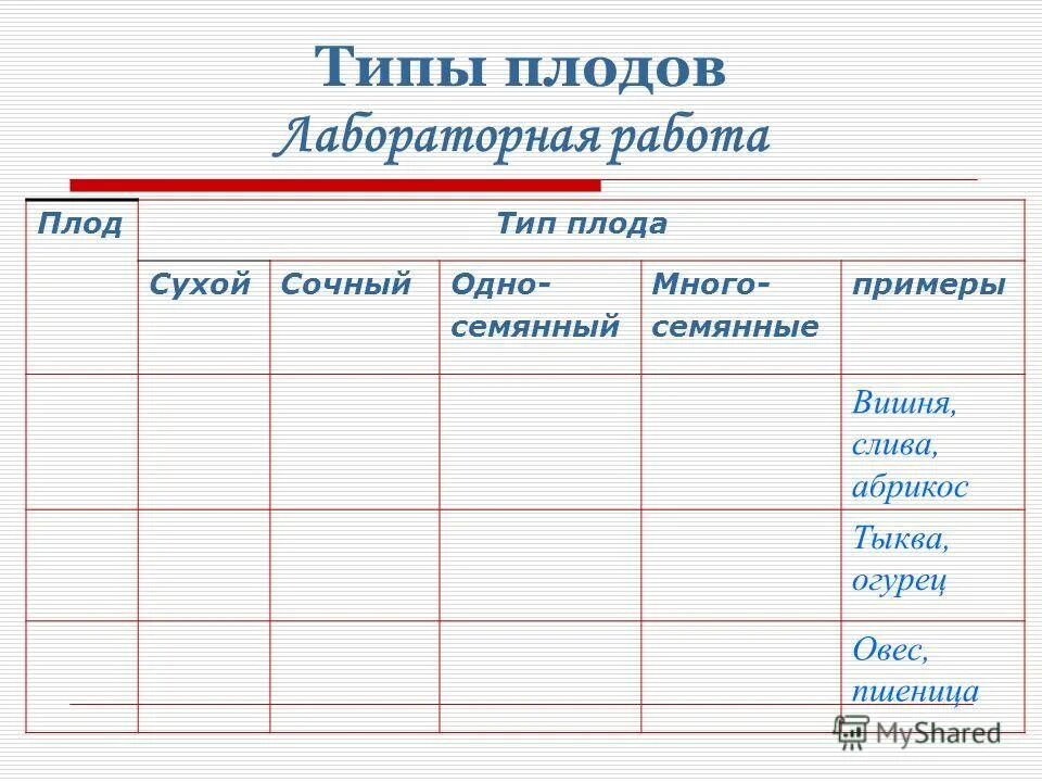 Строение и жизнедеятельность грибов