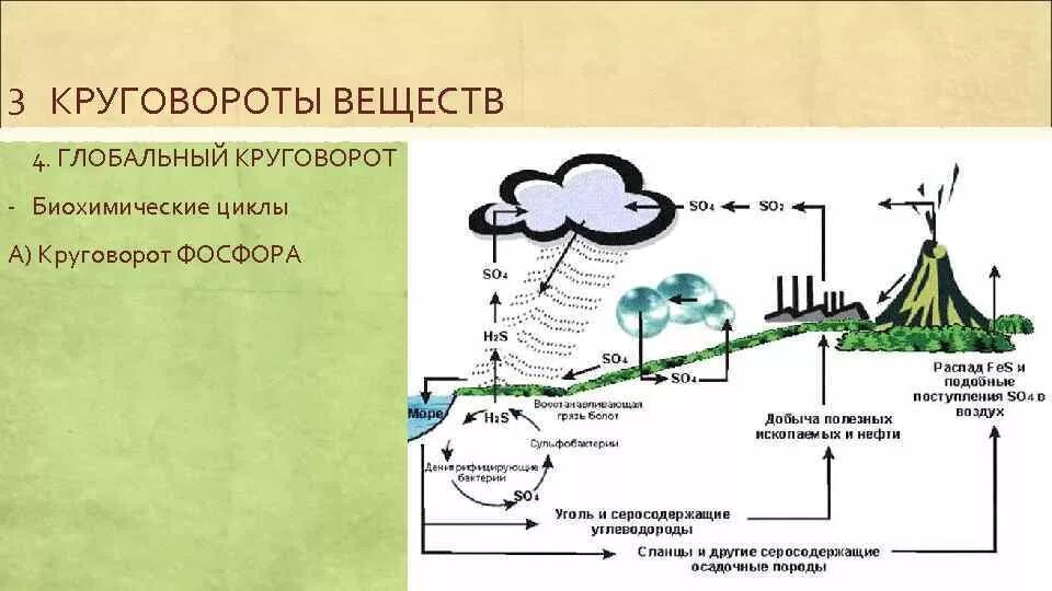 Вещество особенности круговорота. Биосфера самое интересное. Биосфера и человек. Схема перенос загрязняющих веществ в биосфере. Отходы веществ в биосфере.