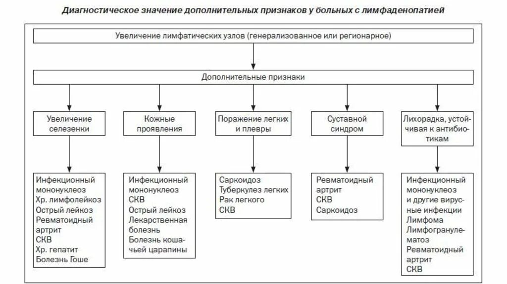 Дифференциальная диагностика синдрома лимфаденопатии инфекции. Алгоритм диагностики при лимфоаденопатиях. Лимфаденопатия дифференциальная диагностика таблица. Диагностический алгоритм при лимфаденопатии. Инфекционные лимфаденопатии