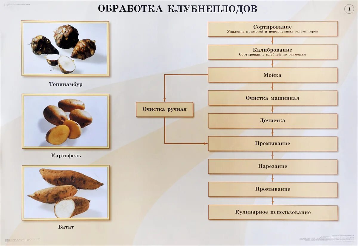 Этапы обработки овощей. Технологическая схема обработки клубнеплодов. Схема механической обработки клубнеплодов. Приведите технологическую схему первичной обработки клубнеплодов. Схема механической кулинарной обработки овощей.