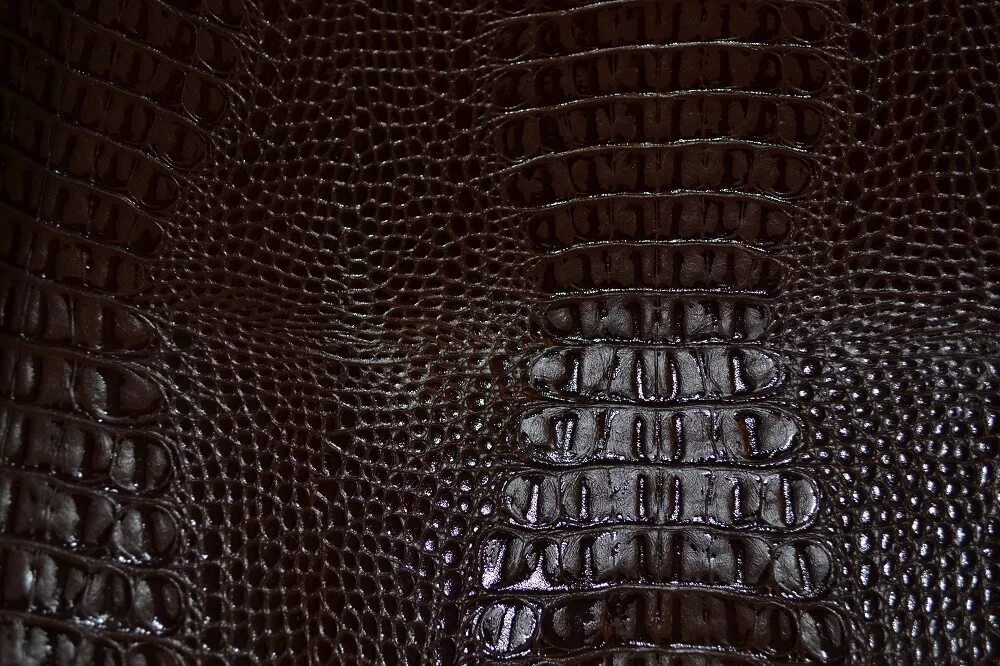 кожа крокодила коричневая. кожа крокодила цвета. синяя кожа крокодила. цена крокодиловой шкуры. цвет кожи крокодила.