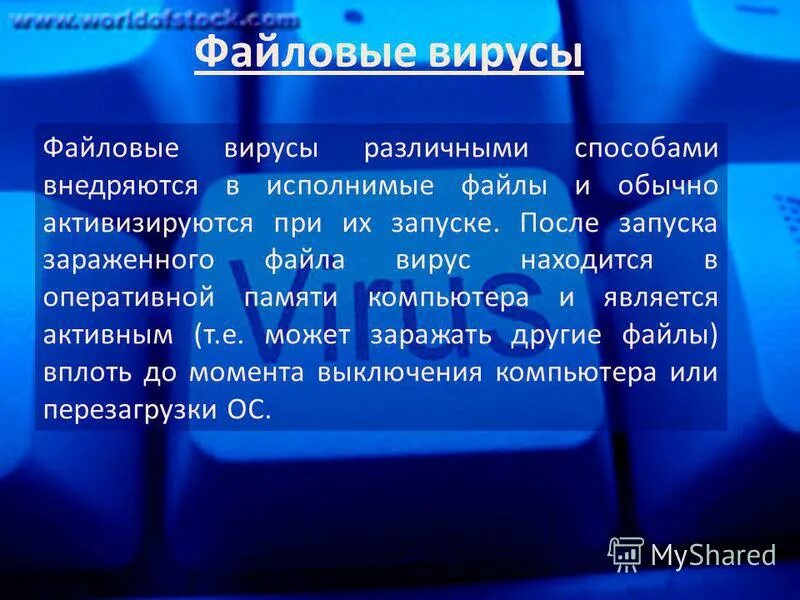 Файловые вирусы определение и примеры вирусов Тема. Компьютерные вирусы и антивирусные программы информатика, уроки