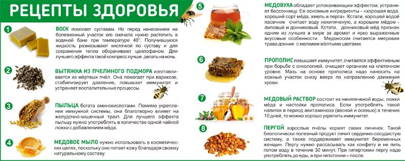 Сколько можно есть перги в день. Употребление перги. состав перги пчелиной. перга состав. перга пчелиная для иммунитета детям.