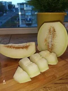 Дыня канарская отзывы