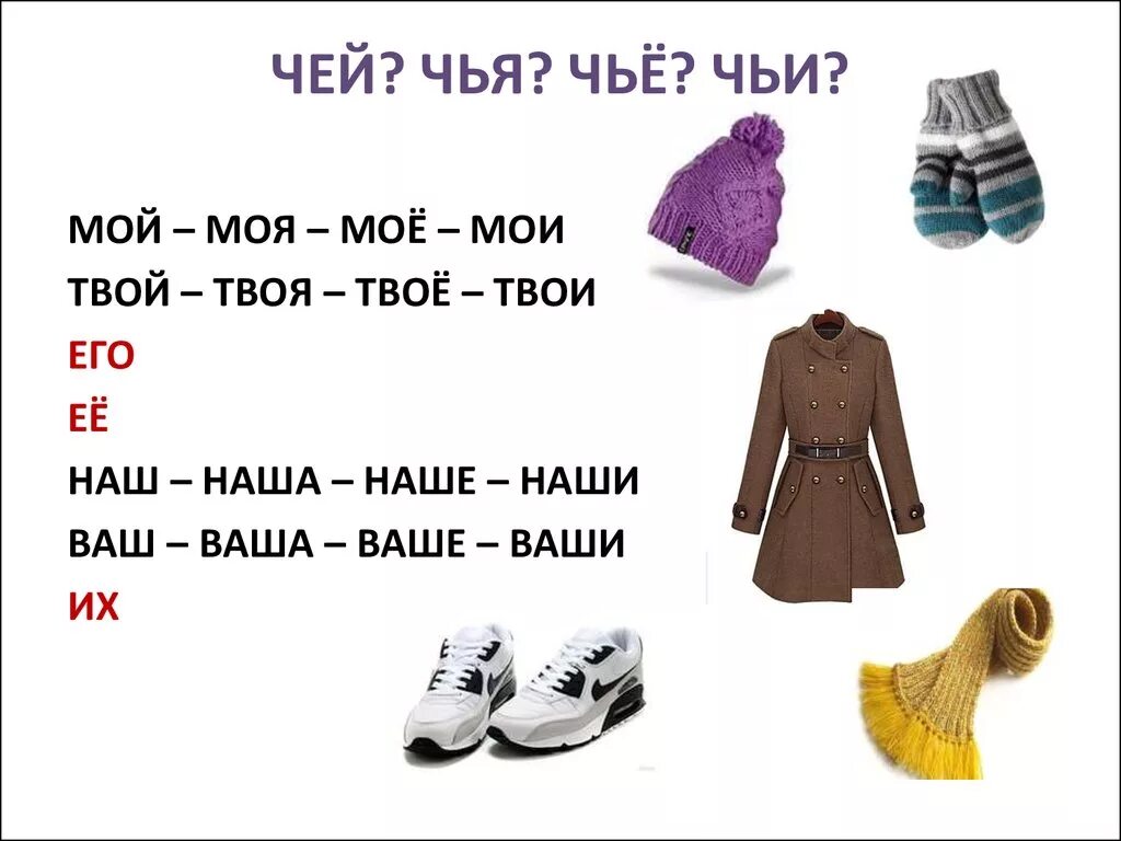 Чей. Задание чей чья чье. Чей. Чье это. Чей хвост дикие животные.