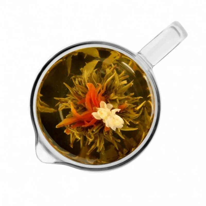 Цветок амаранта чай. Амарант чай. Связанный чай. Связанный чай Амарант.