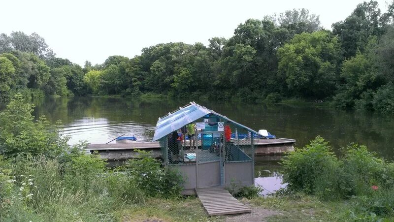 боевка елец