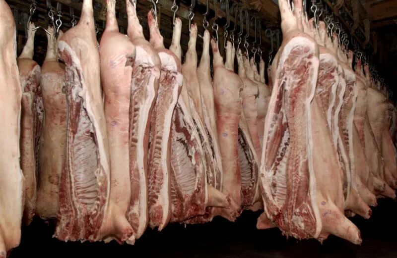 Цена свинины живым весом. Живую свинью продают на рынке. Ожидается поставка свинины. Живая свинья и баранина.