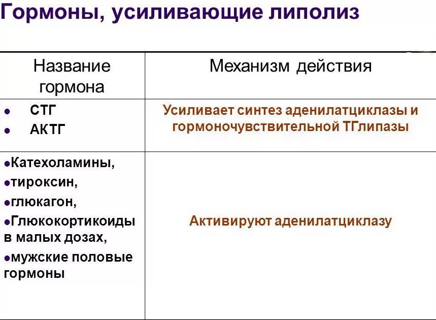 Процесс липолиза. Гормоны усиливающие липолиз. Гормоны, которые стимулируют процесс липолиза жировой ткани:. Какие гормоны усиливают липолиз. Влияние гормонов на липолиз.