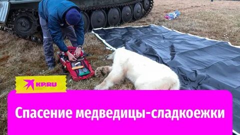 Спасись видео