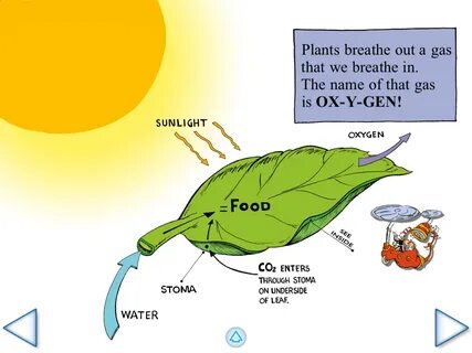 Carbon plants