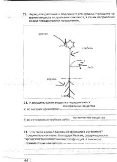 Биология 6 класс страница 24 номер 6