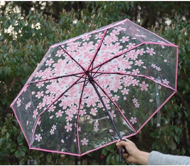 Зонт прозрачный. Японские прозрачные зонтики. Китайский зонтик. Зонтик от солнца женский. Японские зонты купить