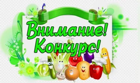 Конкурс лучшая программа