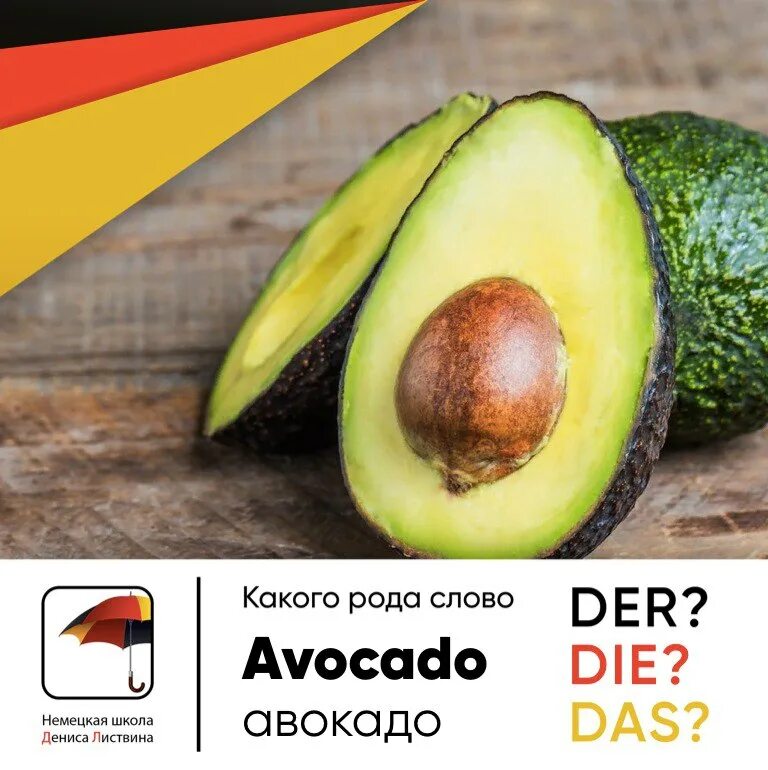 авокадо. род слова авокадо. киви род существительного. авокадо сорта фото и описание виды. род слова киви фрукт.