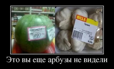 Дай человеку арбуз