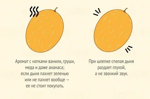 Загадка про дыню
