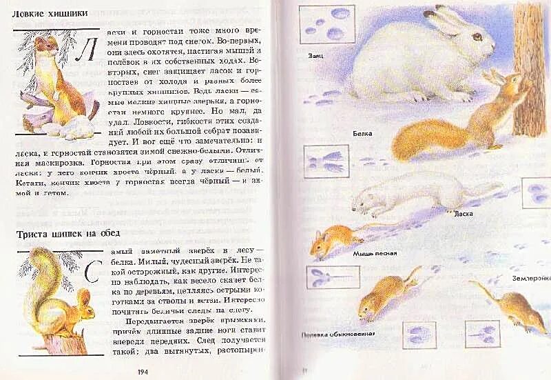 Книга зелёные страницы 3 класс окружающий. Книга зелёные страницы 3 класс окружающий мир о животных. Книга зелёные страницы окружающий мир 3 класс книга. Книга зеленые страницы Плешаков животные.