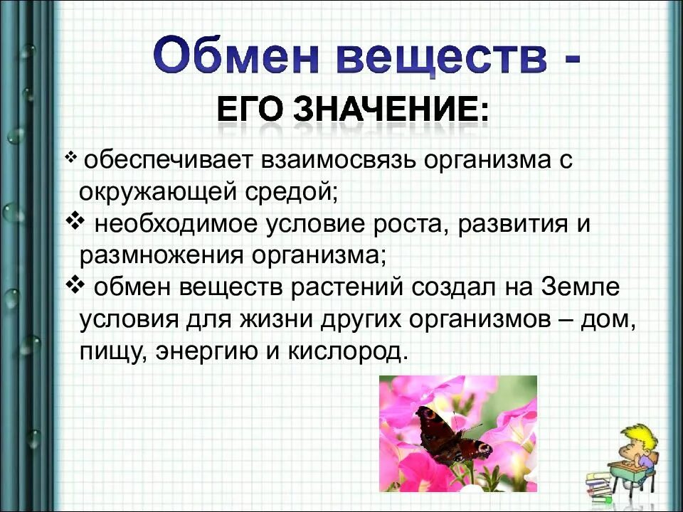 Презентация на тему обмен веществ. Значение обмена веществ для организма. Какова роль обмена веществ. Обмен веществ живых организмов.