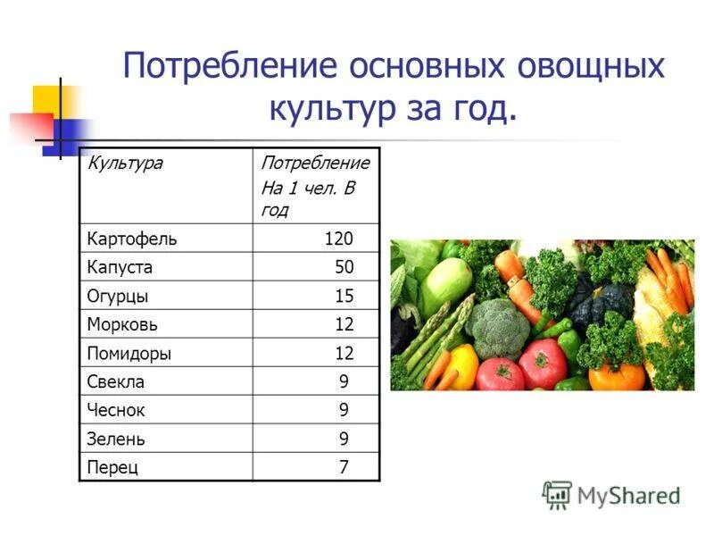 Сколько углеводов в моркови. Пищевая ценность овощей и фруктов таблица. Пищевая и биологическая ценность овощей. Ценность овощей и фруктов. Питательные вещества в овощах.