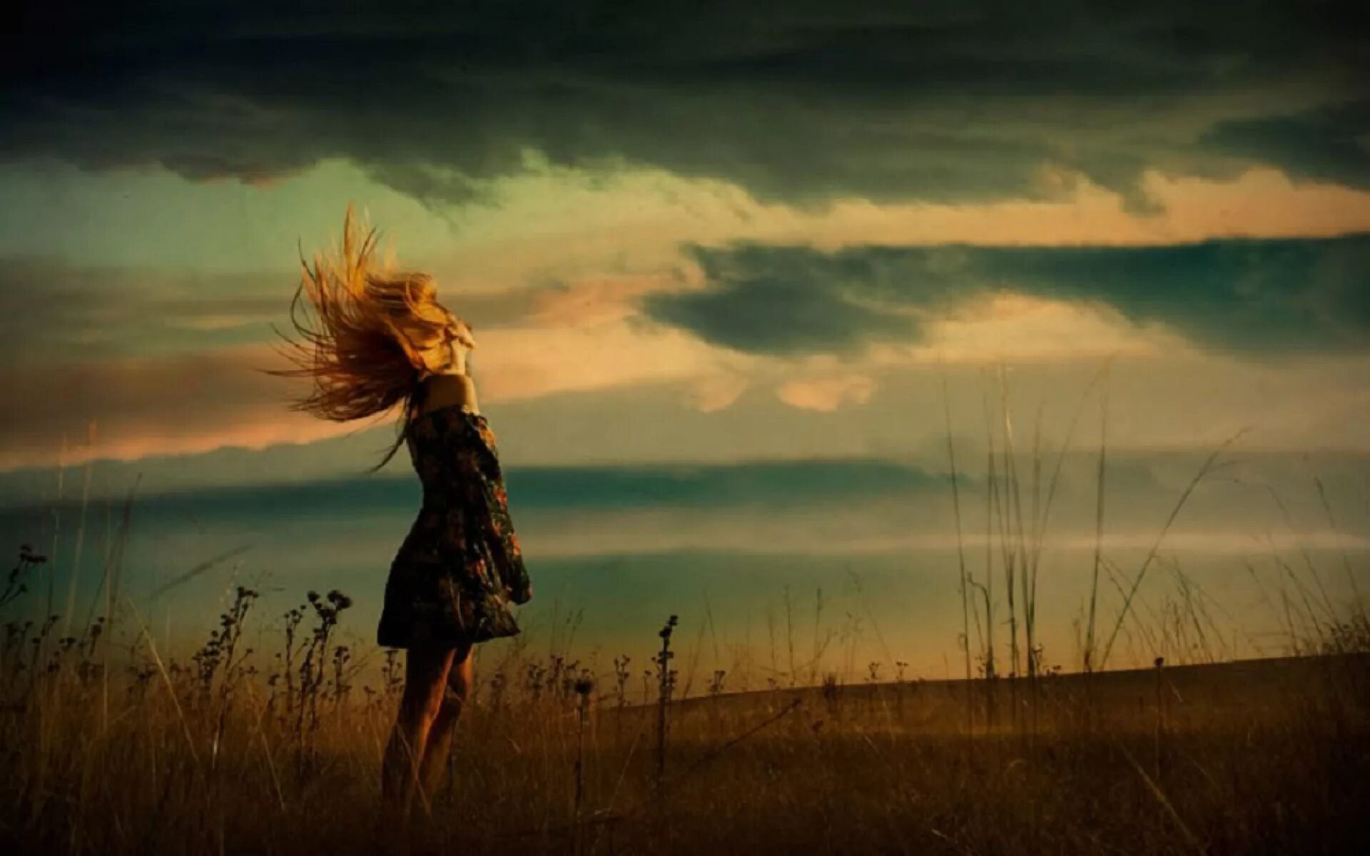 Something in the wind