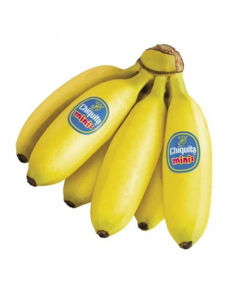 Где можно купит банан. Бананы мини. Фирмы бананов. Эквадорские производители бананов. Бананы фирма.