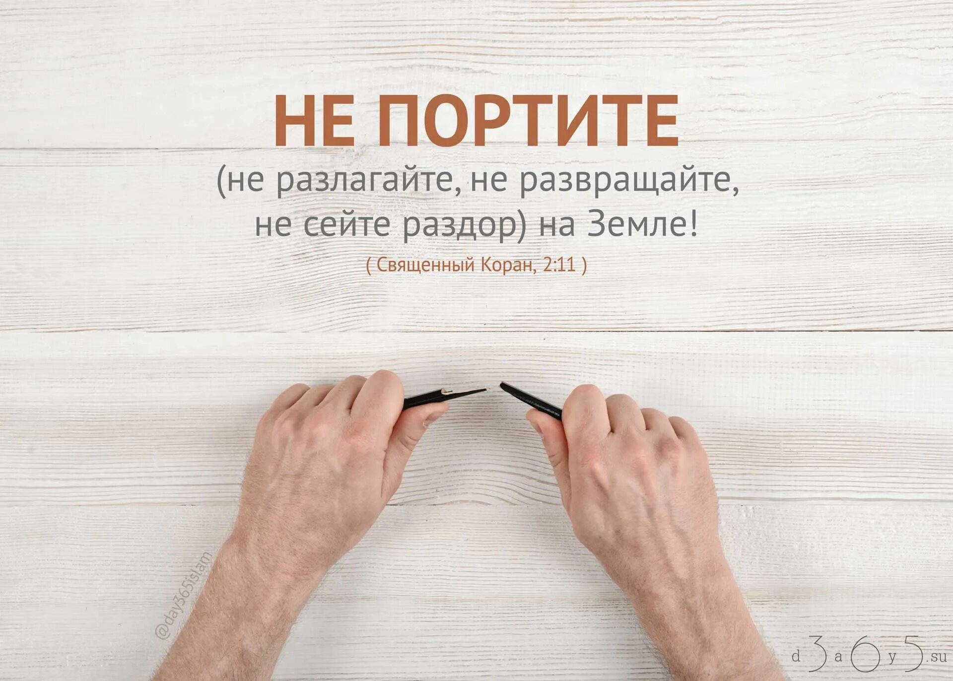 Сеявший раздоры