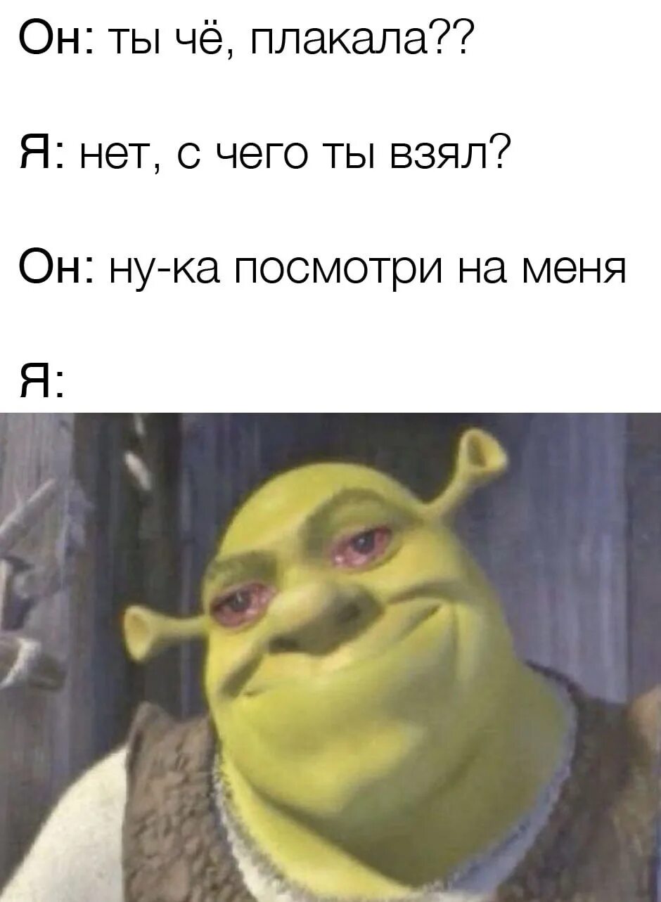 Мемеполис