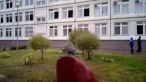 Инциденты в школах