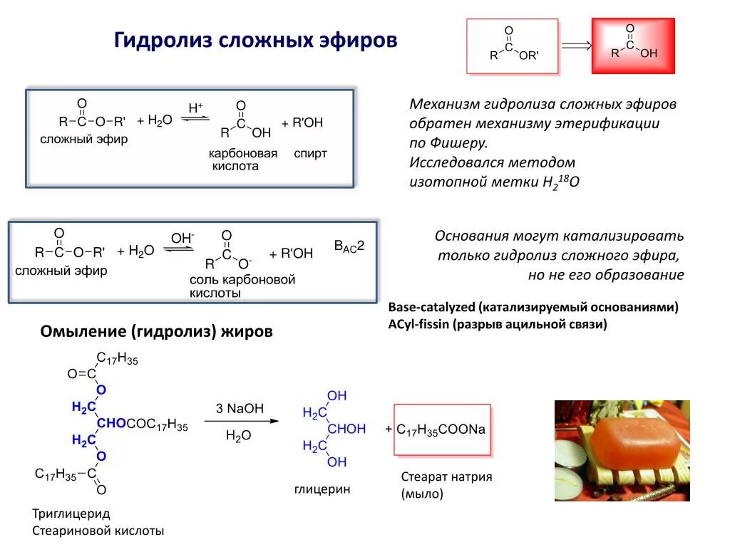 Кислотный гидролиз сложных эфиров механизм. Гидролиз сложных эфиров карбоновых кислот. Гидролиз сложных эфиров карбоновых кислот в щелочной среде. Щелочной гидролиз карбоновых кислот механизм. Карбоновые кислоты образуются при гидролизе